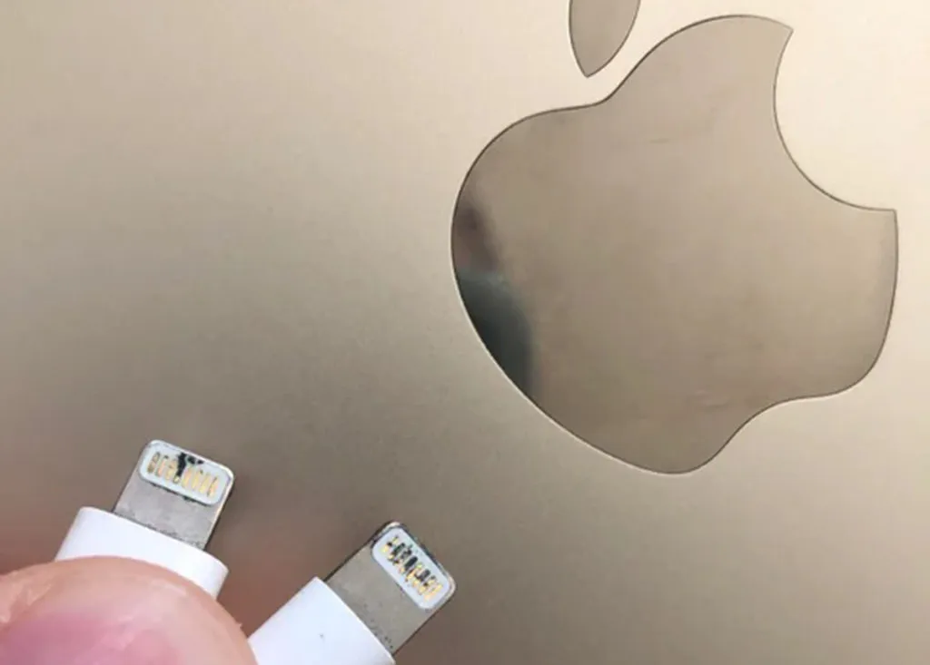 Apple Lightning Plug Burnt