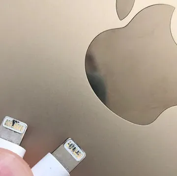 Apple Lightning Plug Burnt
