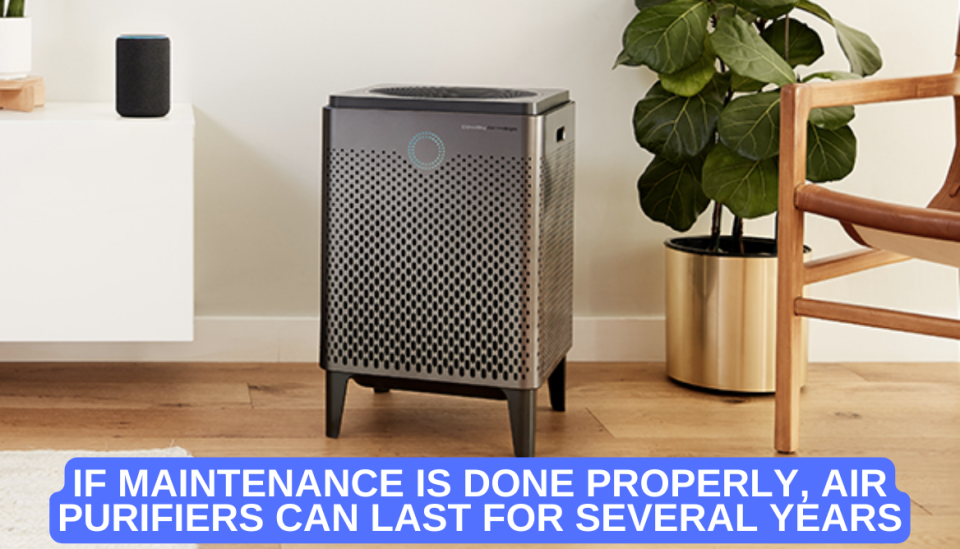 Best Air Purifier For Weed Smoke Best Air Purifier for Weed Smoke: 12 Models To Stay Healthy