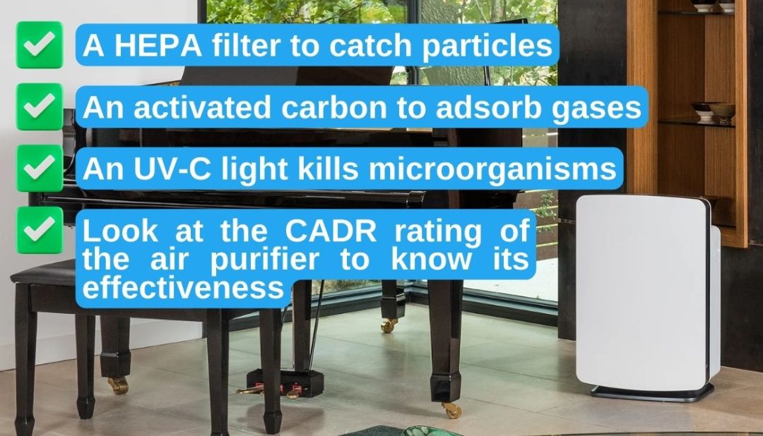 VOC Air Purifier 7 Best Models for Healthy Air