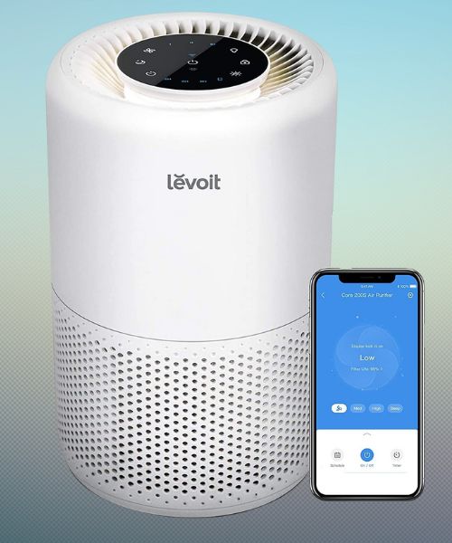 Best Air Purifier For Dust Mites Top 10 Models for Health