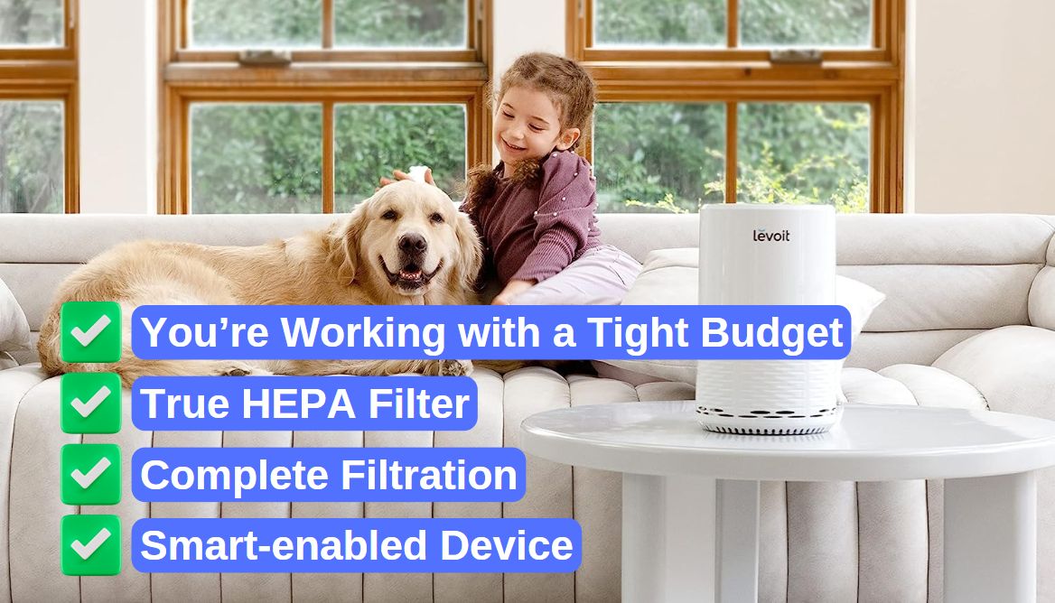 Is Investing In Levoit Air Purifiers Jusitifable_ 4 Things To Know