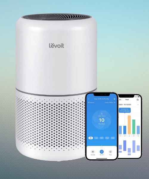 Best Levoit Air Purifier 12 Great Devices for Healthy Air