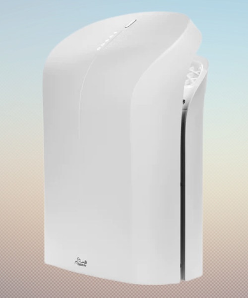 Rabbit Air BioGS 2.0