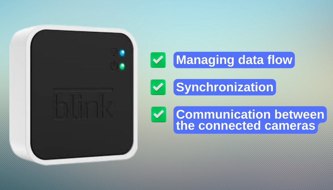 How Many Blink Cameras Can You Have on One Module? Revealed!