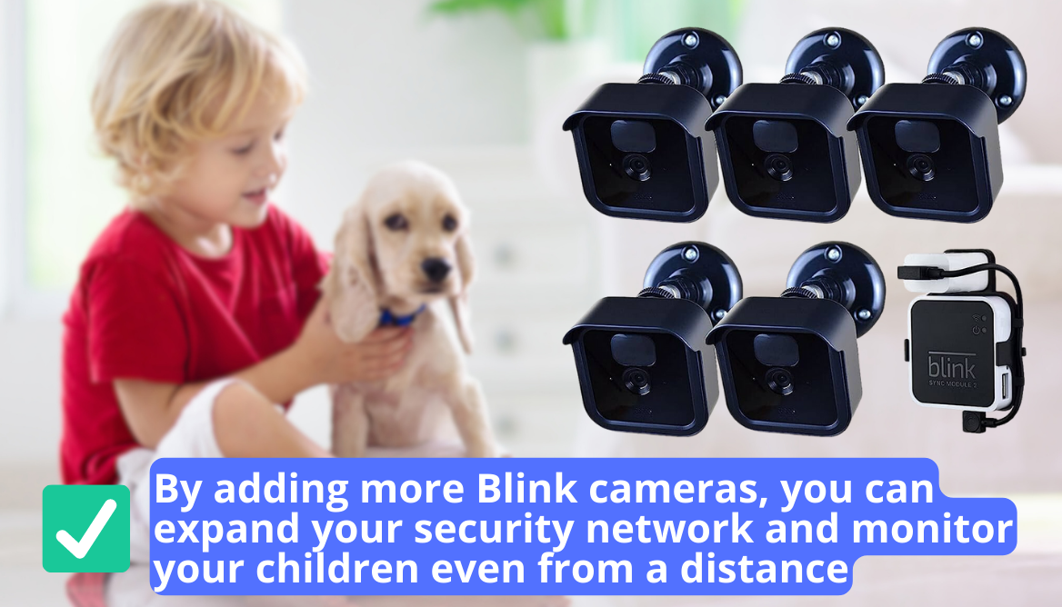 How Many Blink Cameras Can You Have on One Module? Revealed!