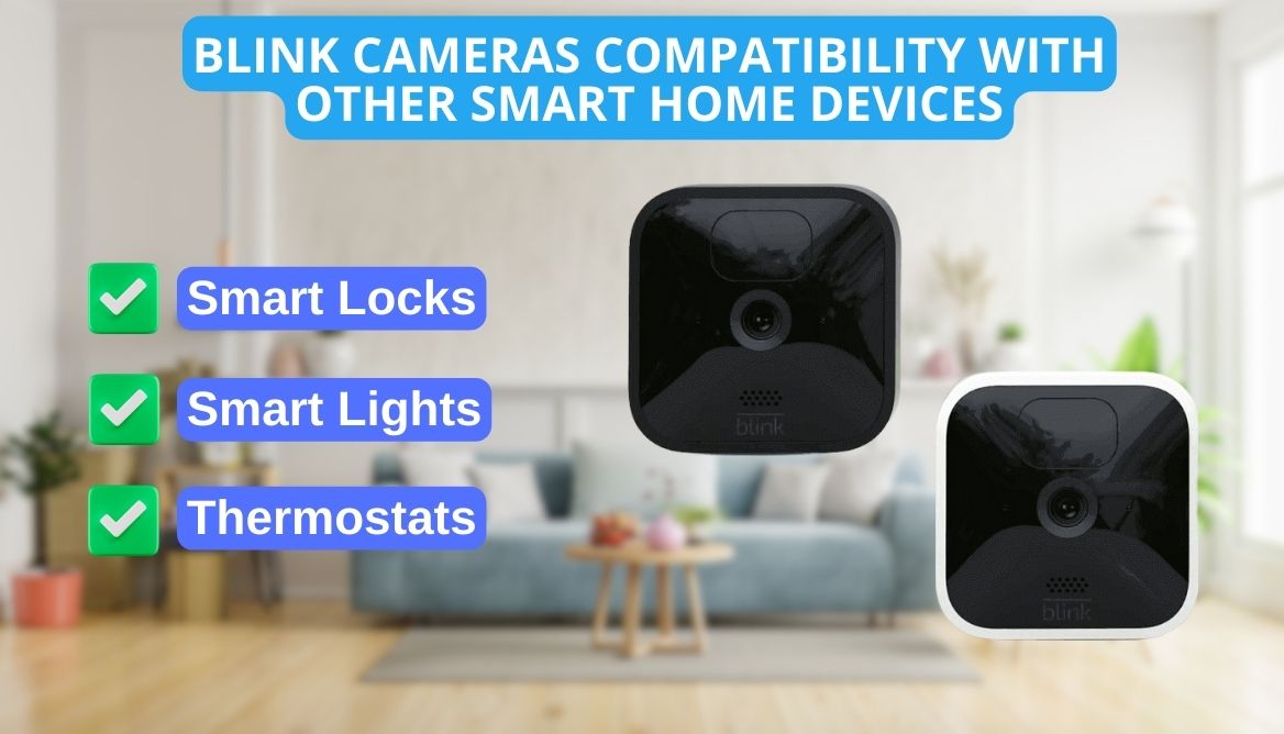 Does Blink Work with Apple HomeKit? Check right Now!