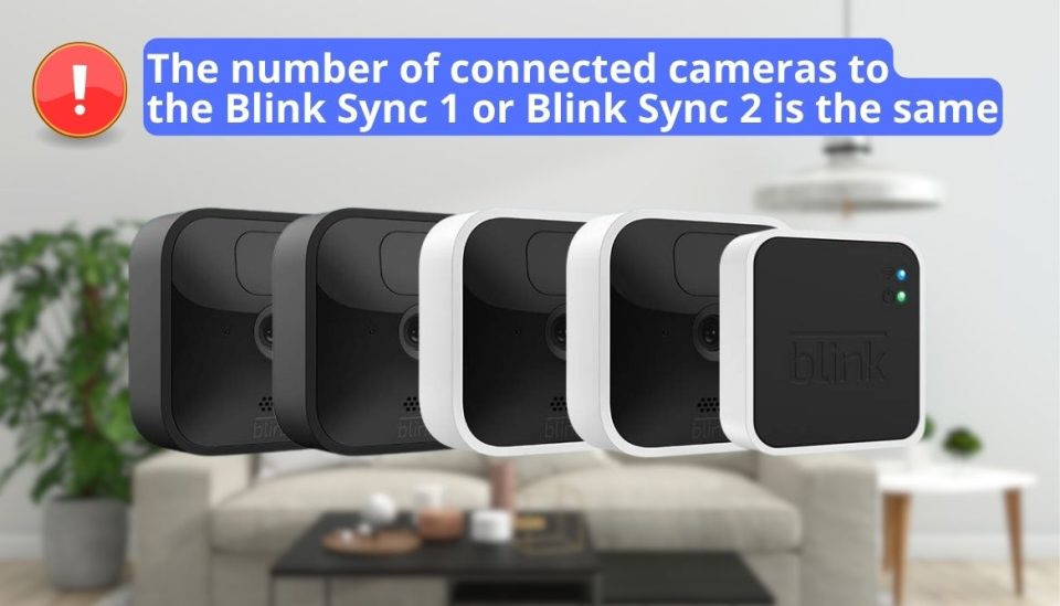 How Many Blink Cameras Can You Have on One Module? Revealed!