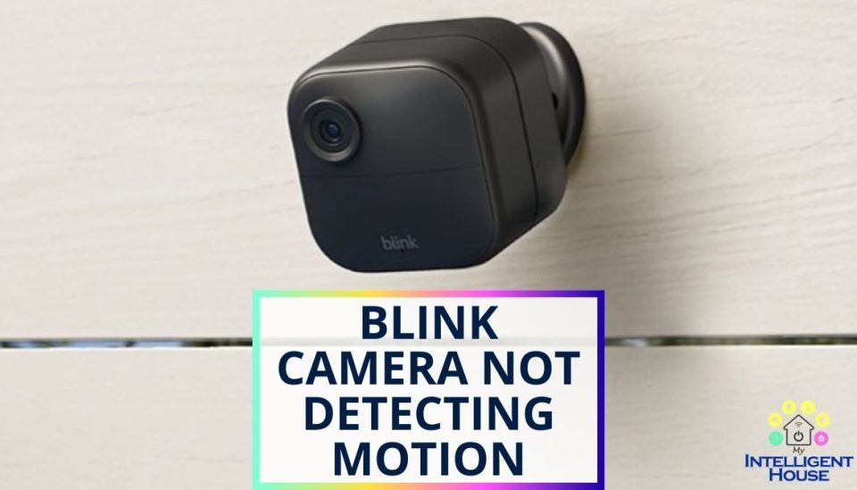 Blink Camera Not Detecting Motion 10 MustTry Solutions