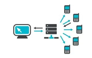 Key Features to Look for in an SMS Service